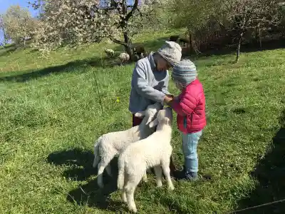 Zwei Kinder mit Mützen füttern auf einer sonnigen Wiese zwei weisse Lämmer der Ostfriesischen Milchschafe, im Hintergrund blühende Obstbäume und weitere Schafe.