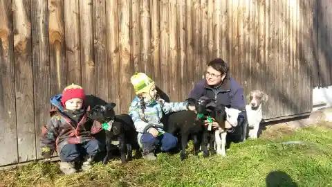 Zwei Kinder und eine Frau sitzen in der Sonne vor einer Holzwand mit drei schwarzen Lämmern mit Halsbändern, daneben ein Hund.
