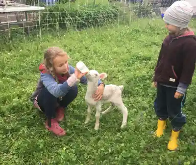 Ein Mädchen kauert im Gras und gibt einem weissen Lamm den Schoppen, ein kleiner Junge in gelben Stiefeln schaut zu.