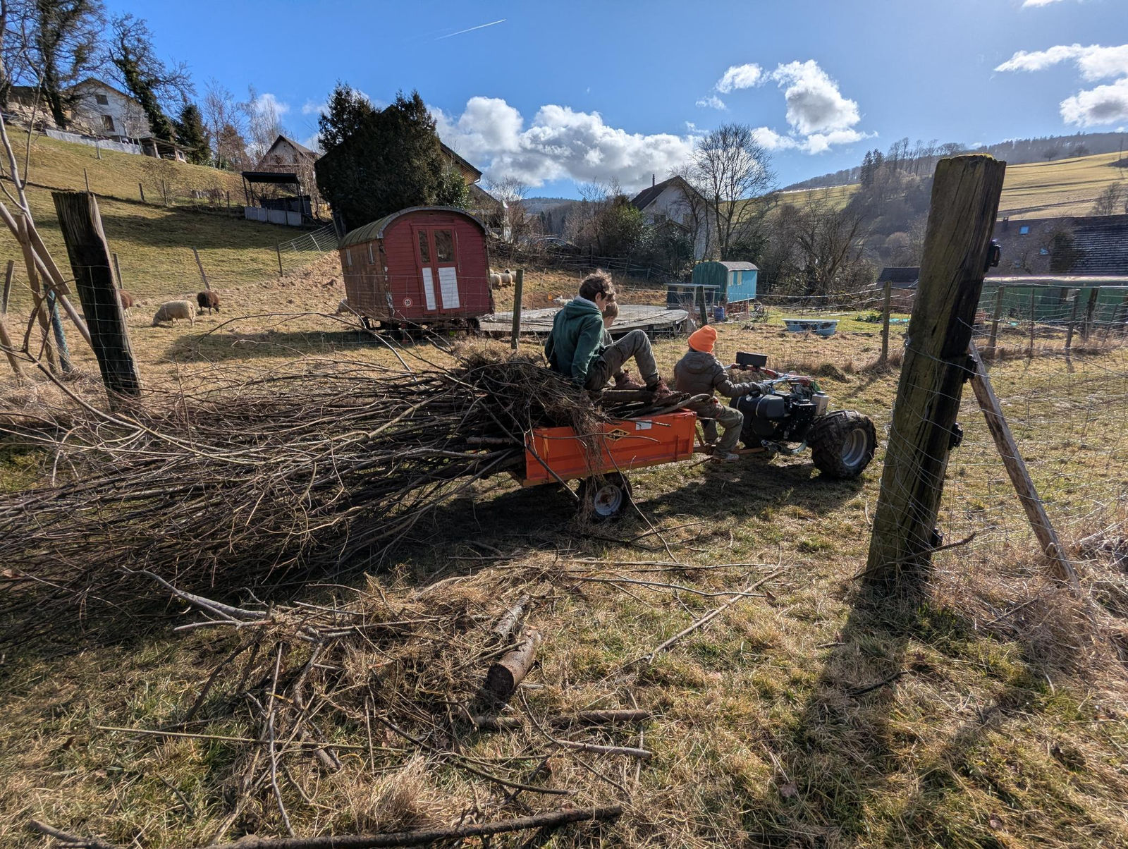 Der Seehof im Vorfrühling. Ein Erwachsener sitzt auf dem orangen Anhänger eines Einachsers, der voller Heckenpflanzen ist, ein Kind mit oranger Mütze steht am Lenker. Im Vordergrund liegt ein Haufen geschnittener Äste, dahinter der dunkelrote Bauwagen, die Schafe auf der Weide und die Jura-Hügel.