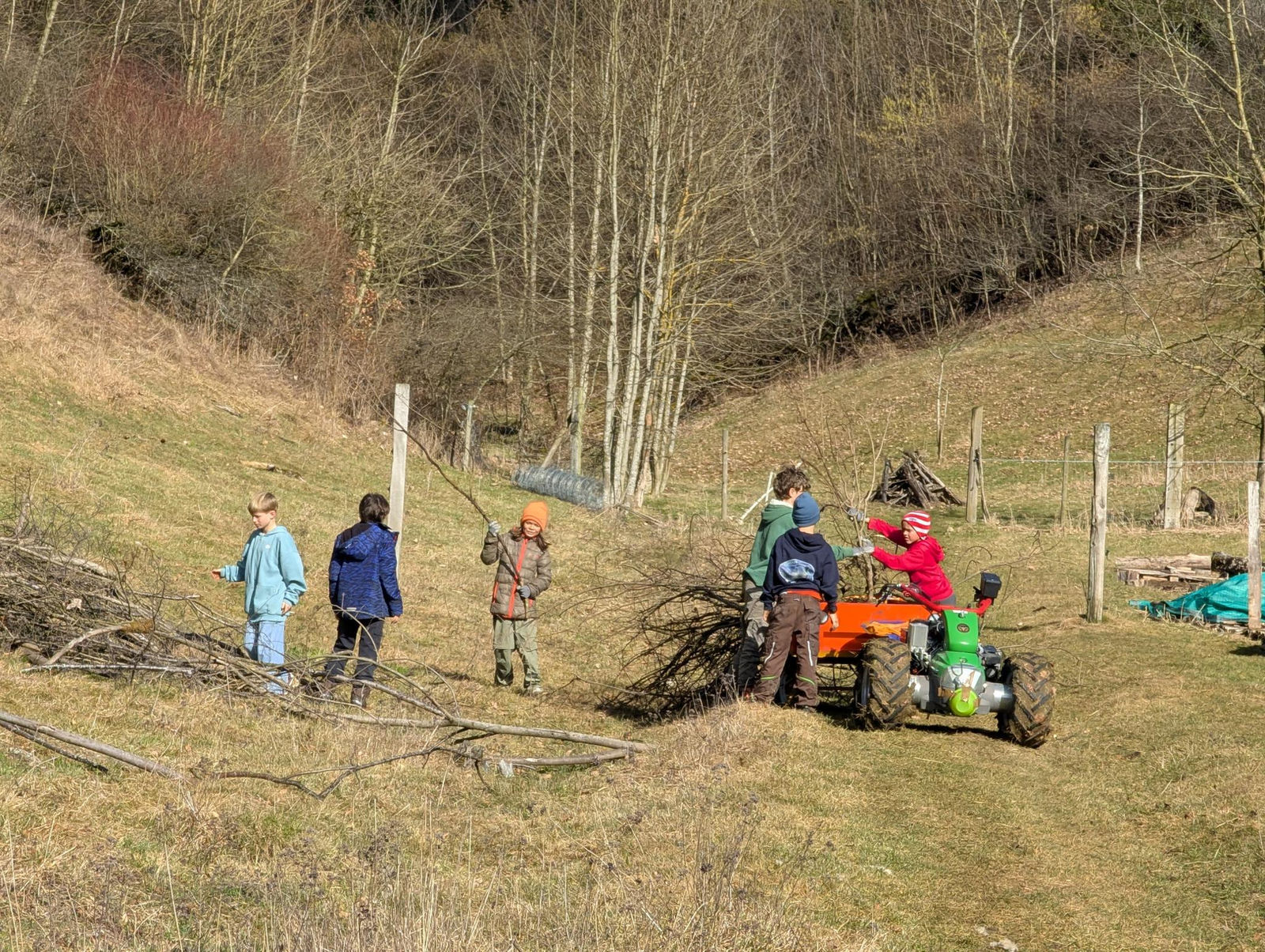 Sechs Kinder in bunten Jacken auf der Wiese im Tälchen. Eines trägt einen langen Ast, zwei laden Äste auf den orangen Anhänger des Einachsers. Dahinter steigt der Hang mit noch kahlen Bäumen an.
